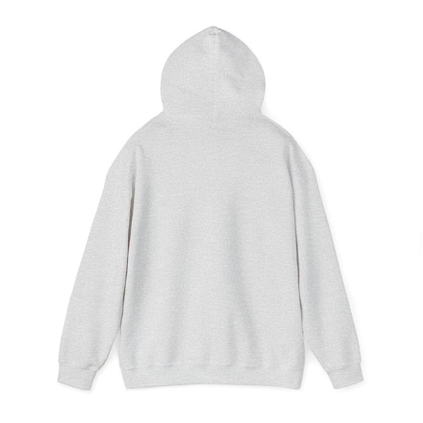 Hooded Sweatshirt Bonjour Y'all Eiffel Tower Paris French Vibes