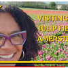 Travels Living Abroad- Tulip Fields in Amsterdam